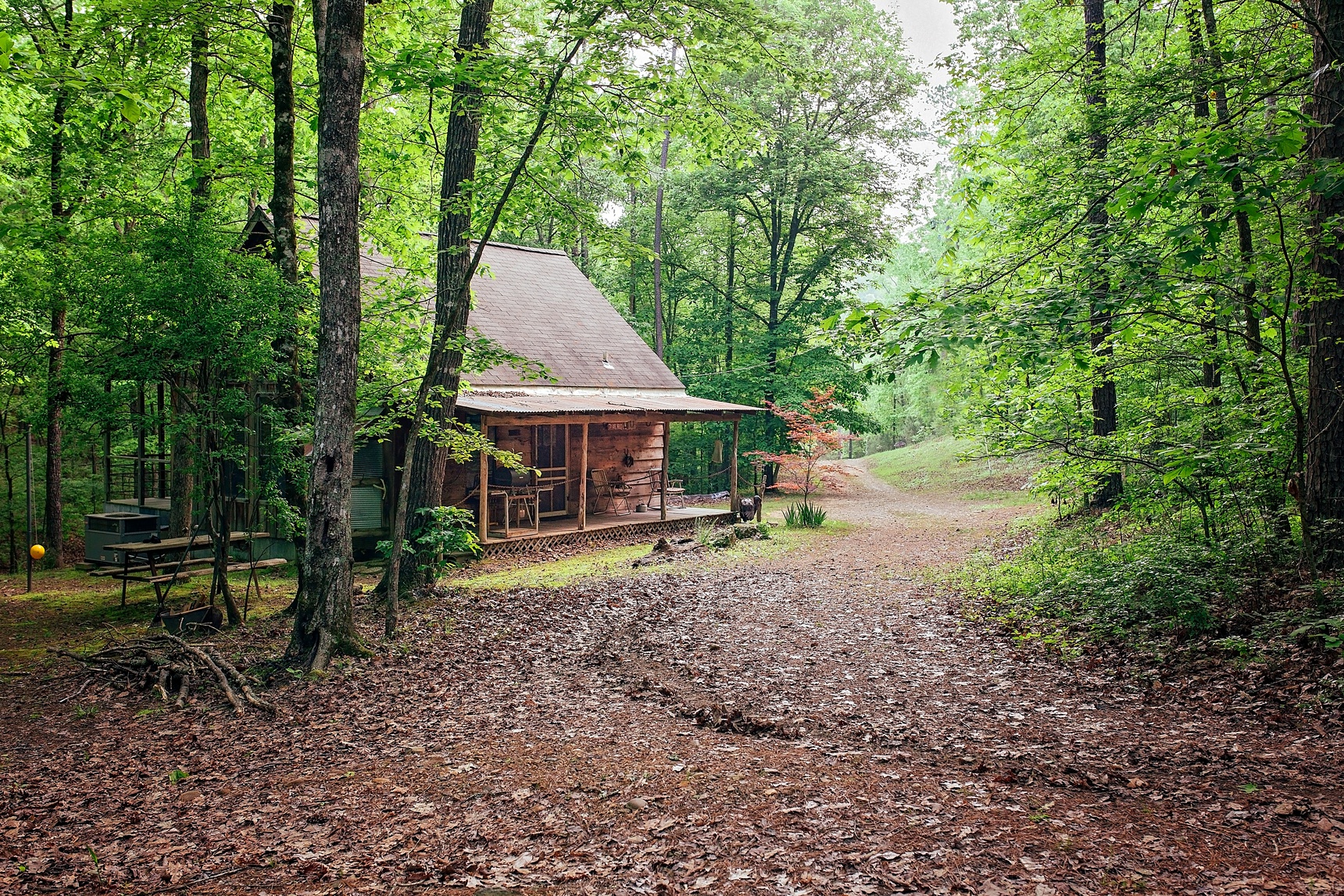 Lone Cedar Cabin at Lone Cedar Cabins in Hot Springs National Park, DeGray Lake State Park, Ouachita National Forest