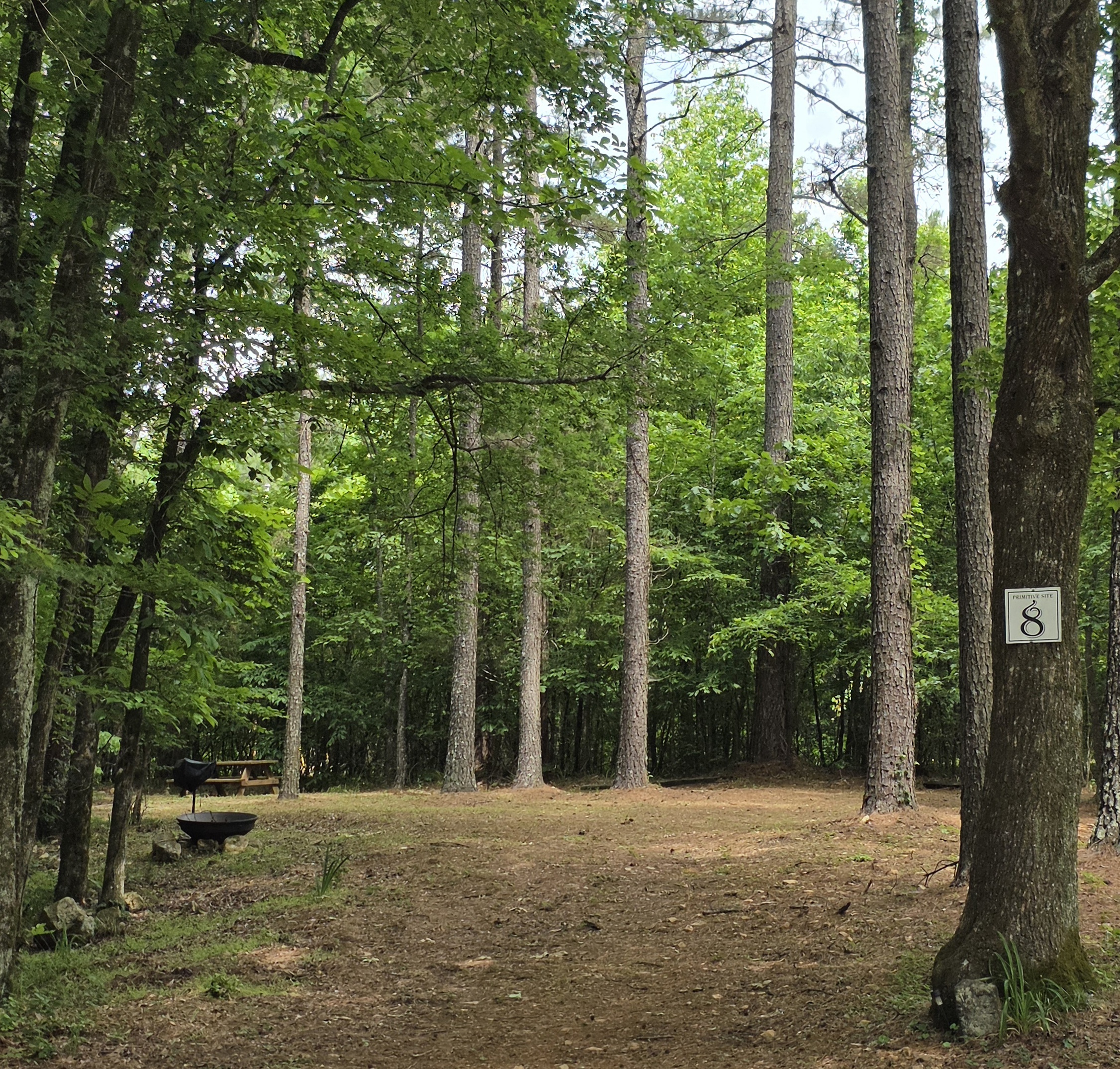 Camping Site 8 in Caddo Gap, AR
